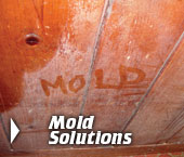 Mold Removal In Greater Minneapolis